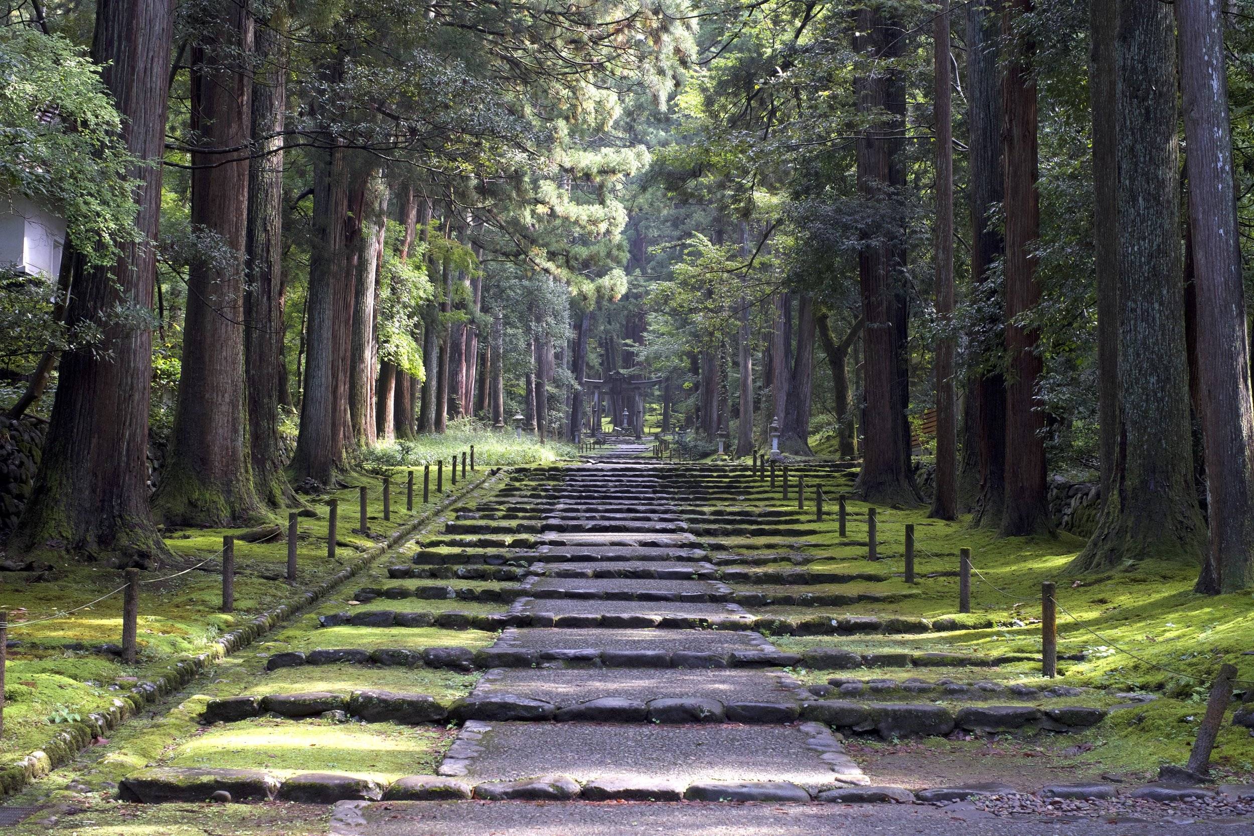 🪦 킷카와 가문 묘소(킷카와케보쇼) 이미지 4